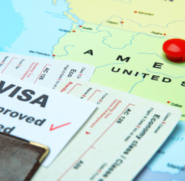 visa kerja